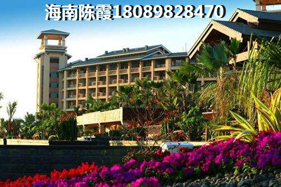 中合盛仕豪庭 一居  户型图