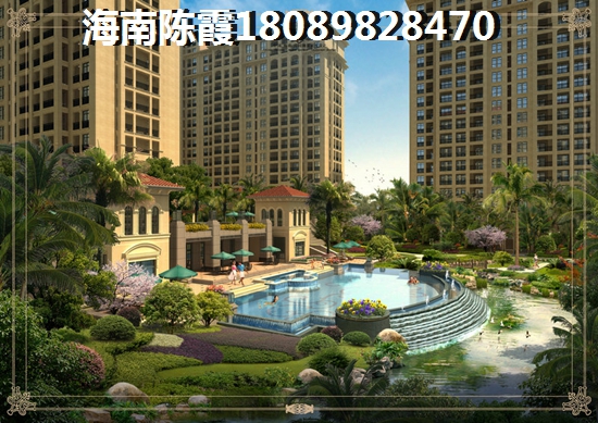 丽景小镇 两居  户型图