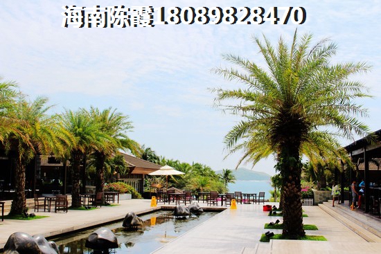 地王新城 建筑规划 
